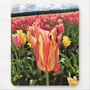 Pretty Spring Tulip, Oregon Mouse Mat