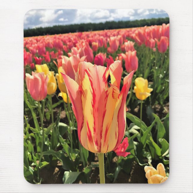 Pretty Spring Tulip, Oregon Mouse Mat (Front)