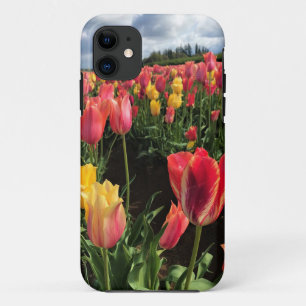 Pretty Spring Tulips in a Field, Oregon iPhone 11 Case