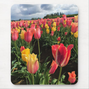Pretty Spring Tulips in a Field, Oregon Mouse Mat