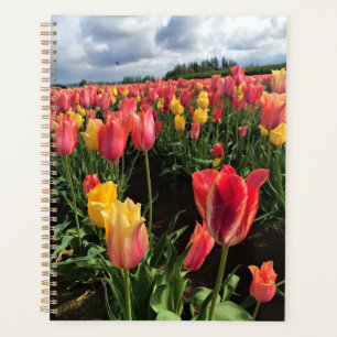 Pretty Spring Tulips in a Field, Oregon Planner