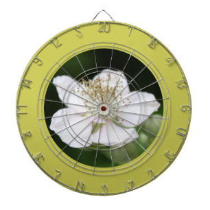 Pretty spring white raspberry flower photography dartboard
