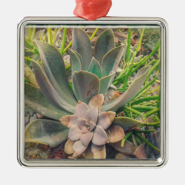 Pretty Succulent Plants Metal Tree Decoration (Front)