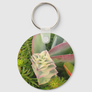 Pretty Succulents Key Ring