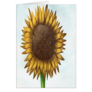 Pretty Sunflower