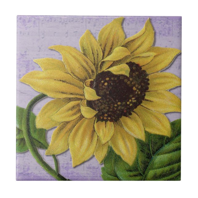 Pretty Sunflower On Sheet Music Tile (Front)