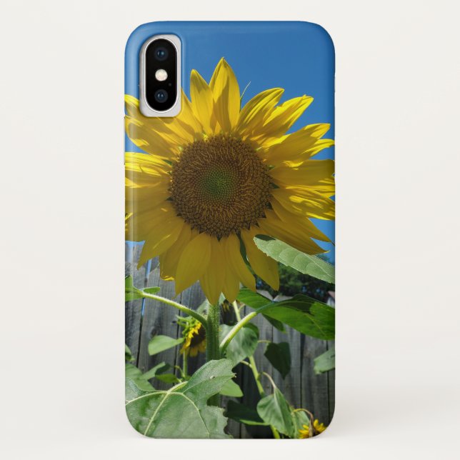 Pretty Sunflower Photography Case-Mate iPhone Case (Back)
