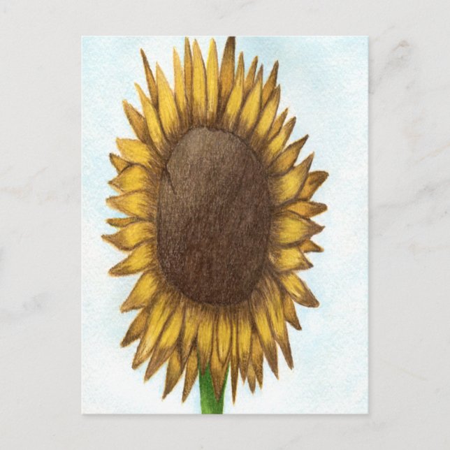 Pretty Sunflower Postcard (Front)