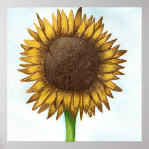 Pretty Sunflower Poster