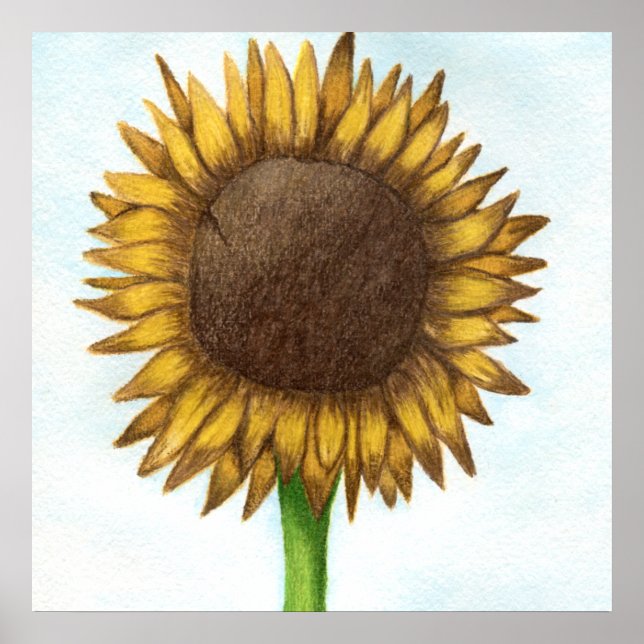 Pretty Sunflower Poster (Front)