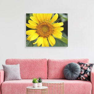 Pretty Sunny Yellow Sunflower 20" x 16" Canvas Print