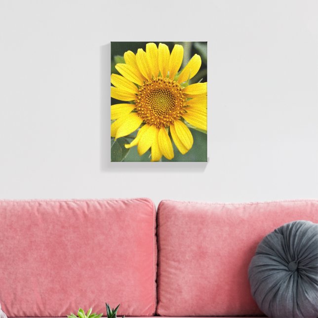 Pretty Sunny Yellow Sunflower 8" x 10" Canvas Print (Insitu(LivingRoom))