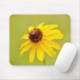 Pretty Texas Wildflower Yellow Coneflower Mouse Mat