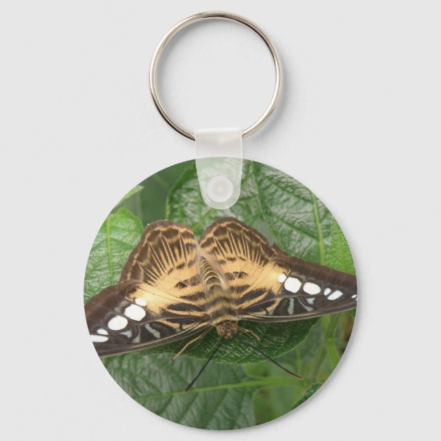 Pretty Tropical Clipper Butterfly Keychain (Front)