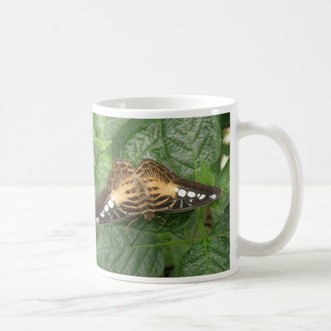 Pretty Tropical Clipper Butterfly Mug (Right)