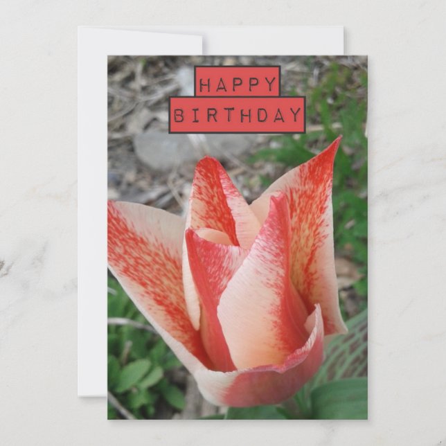 Pretty Tulip Floral Birthday Card (Front)
