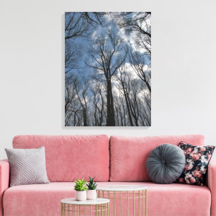 Pretty Tulip Poplar Trees Cloudy Blue Sky Canvas Print
