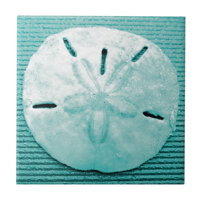 Pretty Turquoise Sand Dollar Tile (Front)