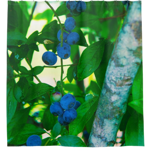 Pretty Vegetables Shower Curtain (Front)