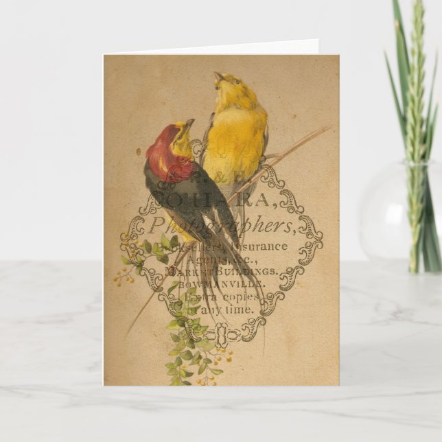 Pretty Vintage Birds Card (Front)