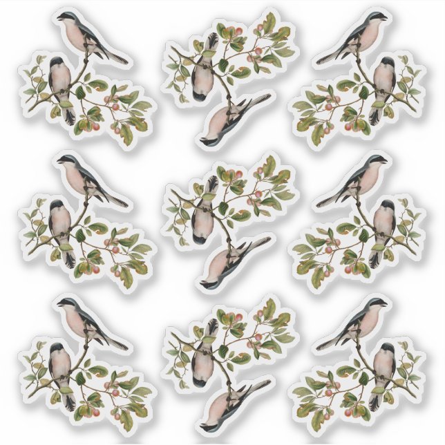 Pretty Vintage Birds In Red Berry Tree (Front)