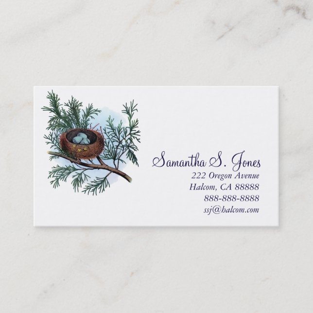 Pretty Vintage Bird's Nest And Eggs Calling Card (Front)