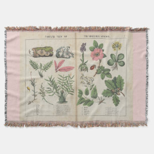 Pretty Vintage Botanical Art Throw Blanket
