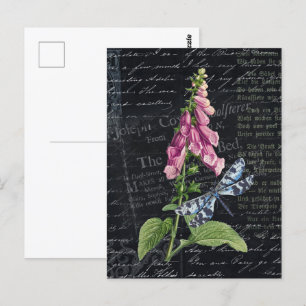 Pretty Vintage Flower & Butterfly Botanical Postcard