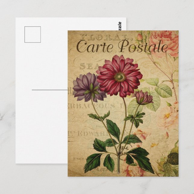Pretty Vintage Flowers Postcard (Front/Back)