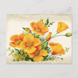 Pretty Vintage Yellow Flowers  Holiday Postcard