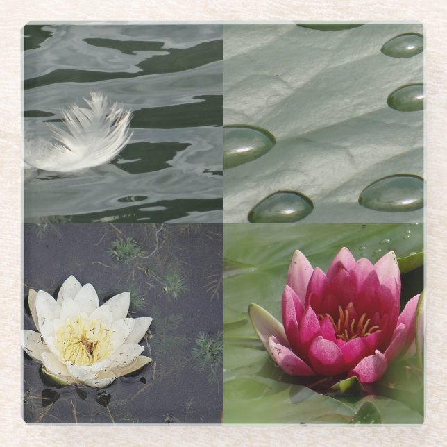 Pretty Water Lilies Glass Coaster (Front)