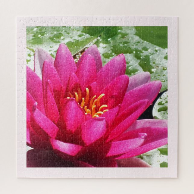 Pretty water lily jigsaw puzzle (Vertical)