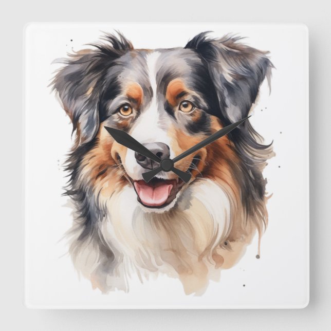 PRETTY WATERCOLOR AUSTRALIAN SHEPHERD DOG SQUARE WALL CLOCK (Front)