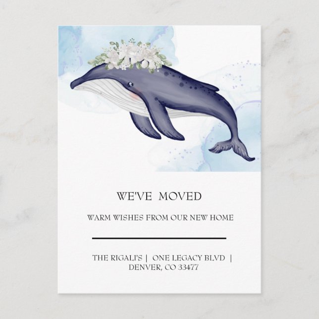 Pretty Watercolor Dolphins  home moving Postcard (Front)