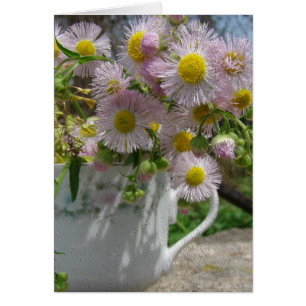 Pretty Weeds