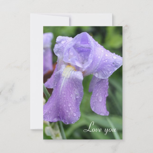 Pretty Wet Iris. Card (Front)