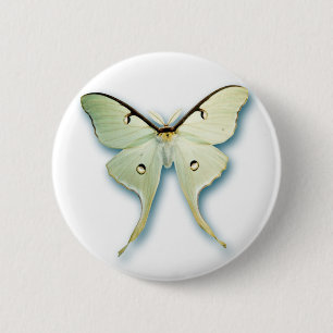 Pretty White Butterfly Design 6 Cm Round Badge