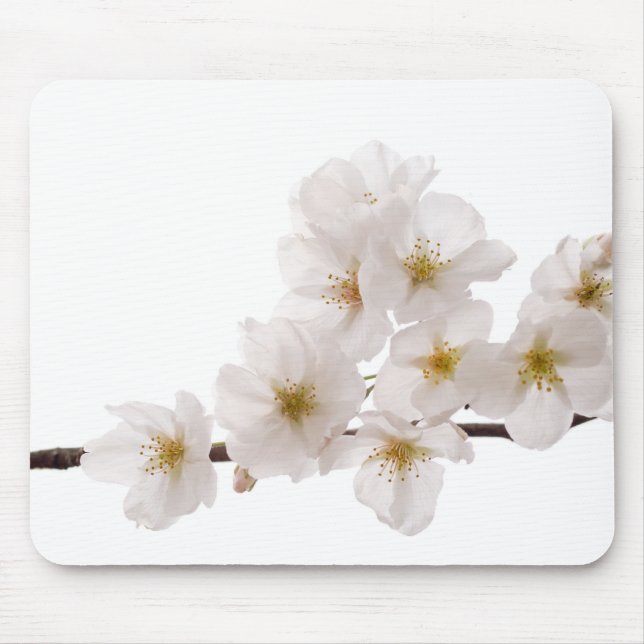 Pretty White Cherry Blossoms Mouse Pad (Front)
