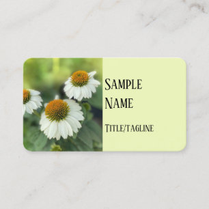 pretty white cone flowers nature photography business card