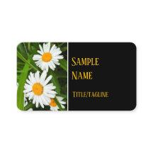 pretty white daisies flowers nature photography