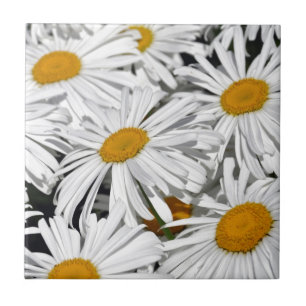 Pretty white daisy flower print tile