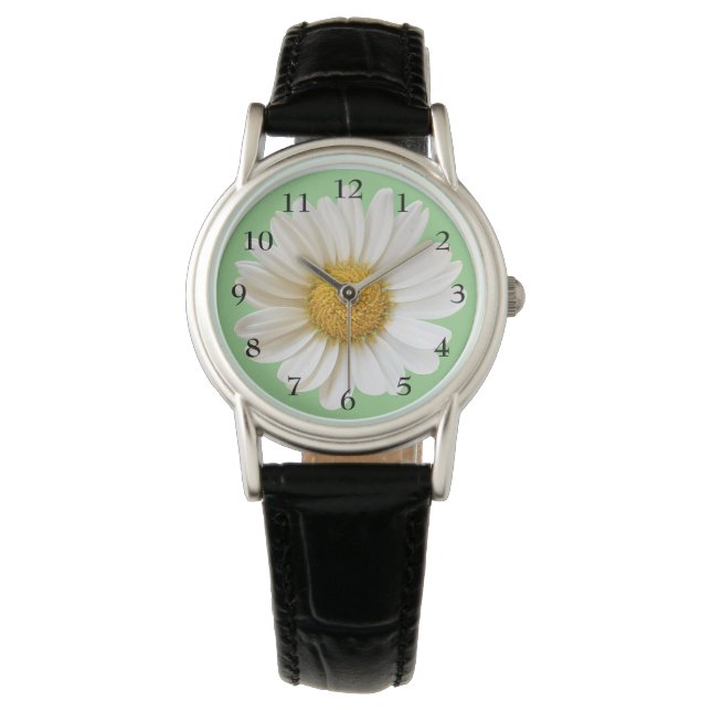 Pretty White Daisy on Sage Green Watch (Front)