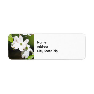Pretty White Dogwoods Floral Photo