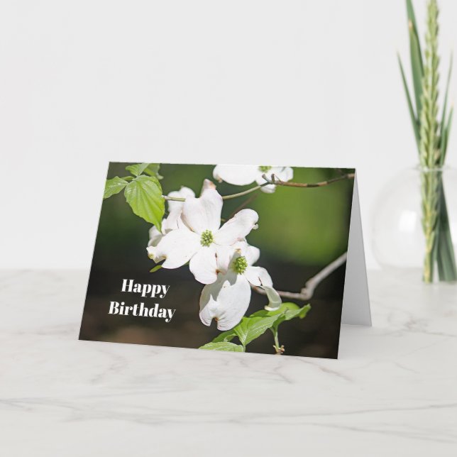 Pretty White Dogwoods Floral Photo Birthday Card (Front)