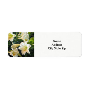 Pretty White Easter Lilies Floral Photo