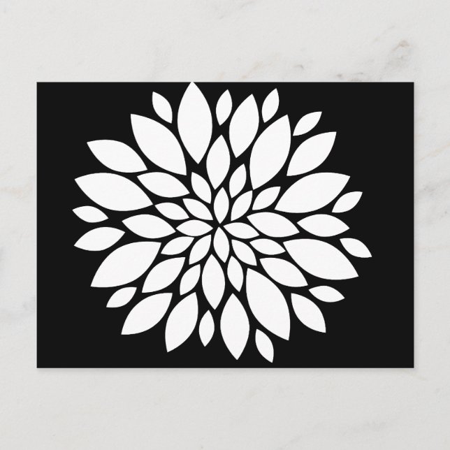 Pretty White Flower Petals Art on Black Postcard (Front)
