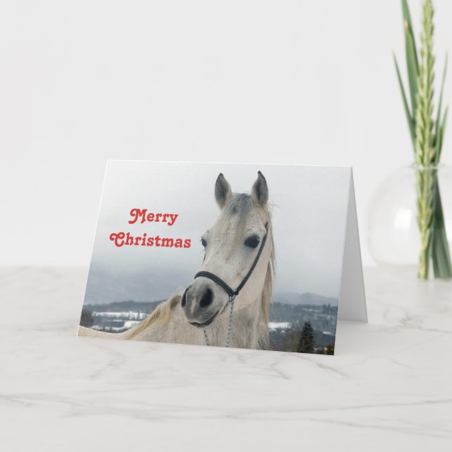 Pretty White Horse Photo Christmas Holiday Card (Front)