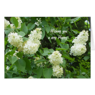 Pretty White Lilac Bush