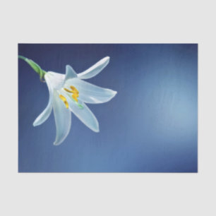 Pretty White Lily Floral Photo Tissue Paper