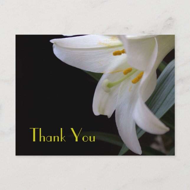 Pretty white lily flower wedding thank you postcard (Front)